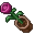 potted flower